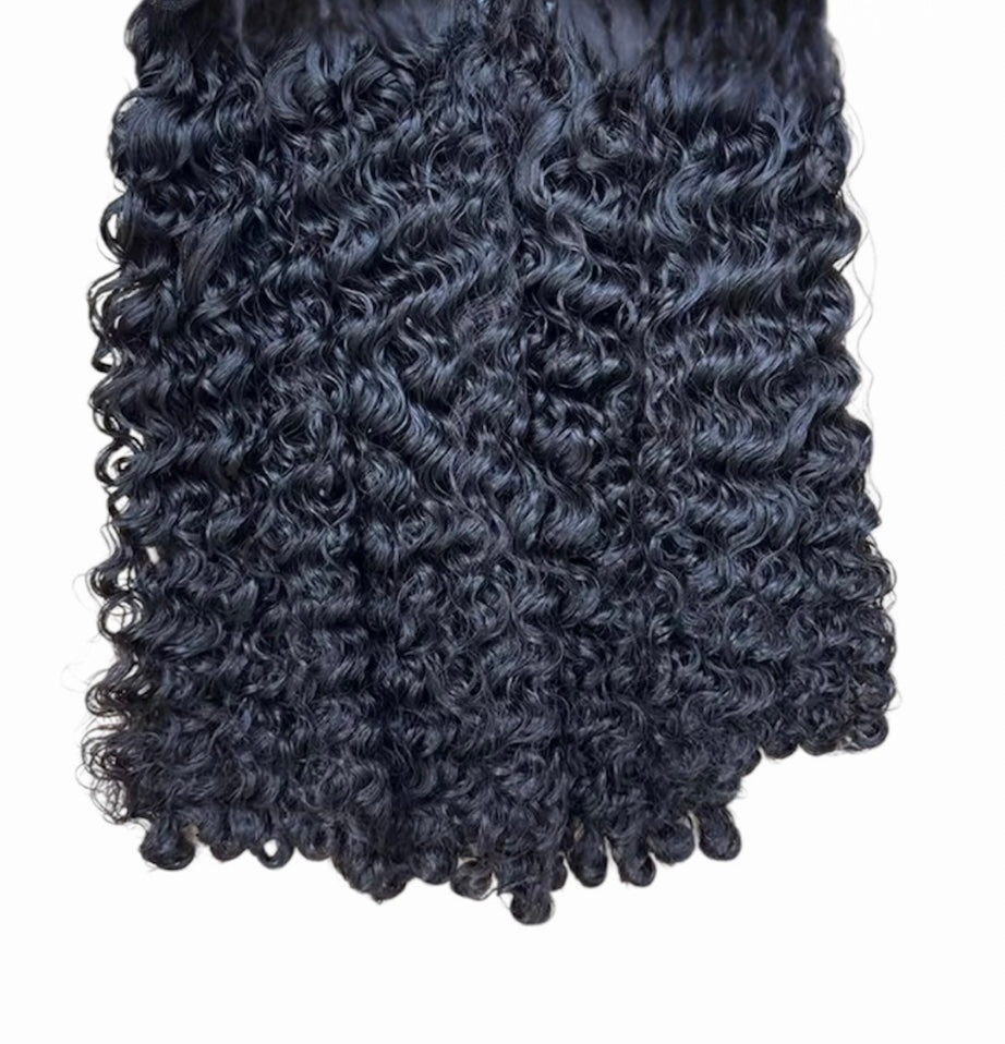 Burmese Curly