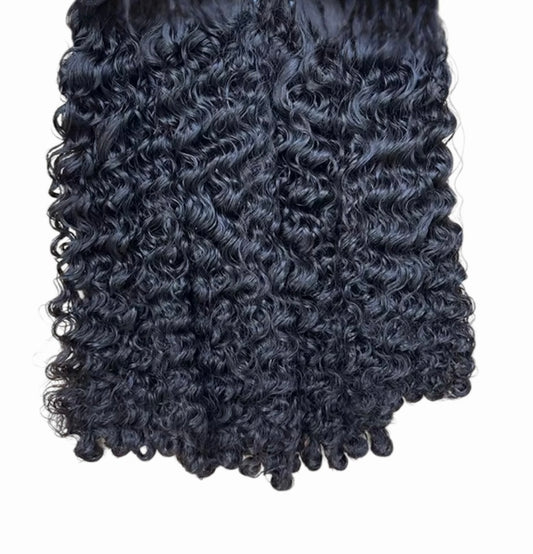 Burmese Curly